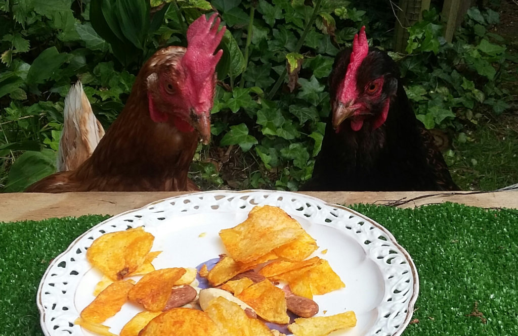 kippen benodigdheden: lekkers