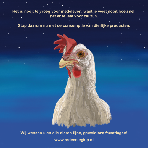 Kerstkaart vegan groot